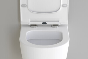 Sp&uuml;lrandloses H&auml;nge WC mit Slim Deckel Soft Close - Lifa Wei&szlig; Matt 49 cm