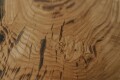 Massivholzplatte Kastanie mit Baumkante 260 x 57 cm