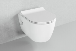 WC mit Dusche h&auml;ngend Sp&uuml;lrandlos